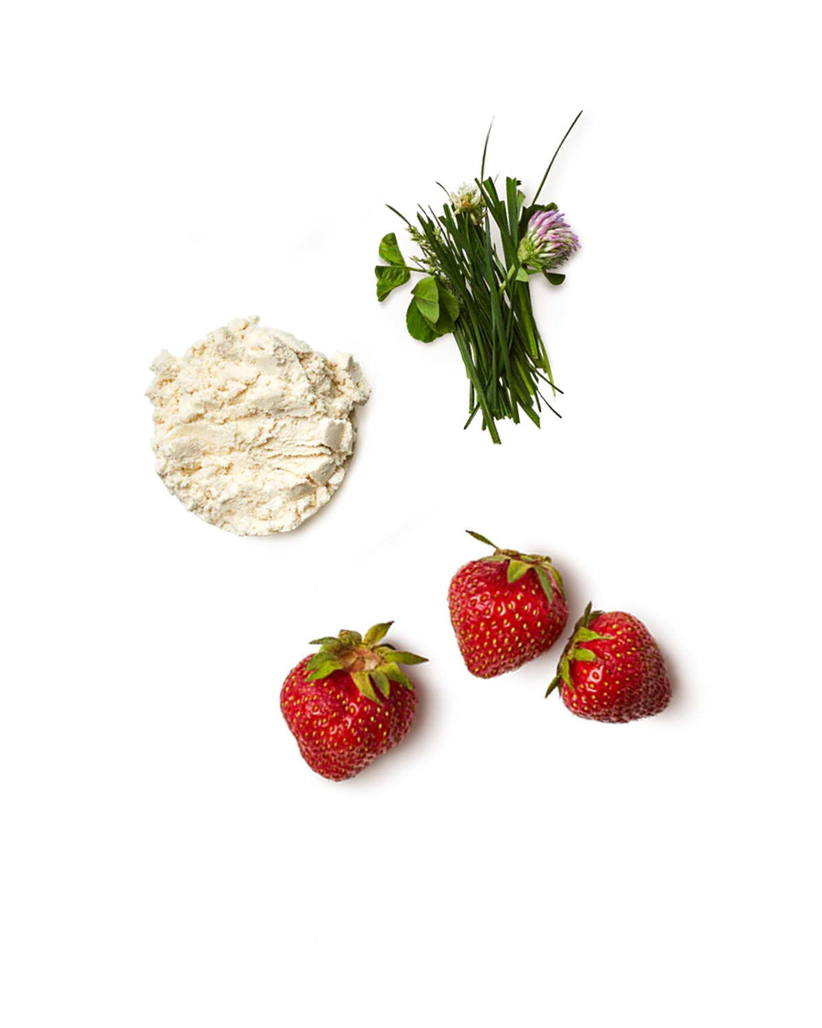 Strawberry Milk Whey Protein Isolate Powder