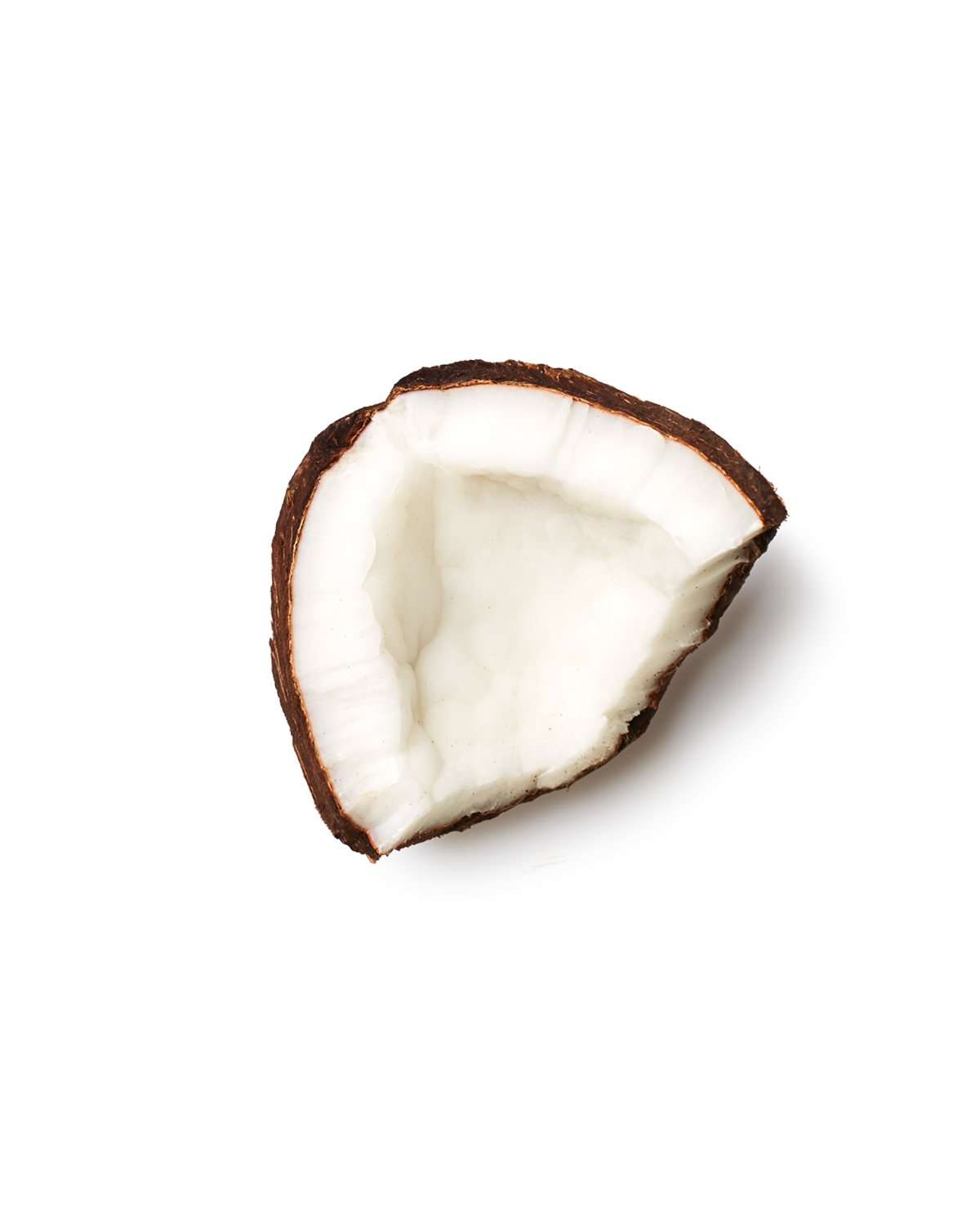 Coconut Protein Puff Bars